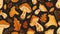 The pattern of autumn mushrooms is seamless, endless background. Forest fungi food, repeating pattern. Flat graphic