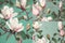 pattern background seamless watercolor flower decoration magnolia textile leaf wallpaper floral. Generative AI.