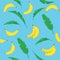 Pattern of with bananas and leaf blue background. Vector tropical fruit, single and bunch banana in cartoon style