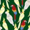 Pattern with beautiful parrots. exotic Birds green background Vector Illustration