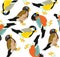 Pattern from birds sparrow,tomtit and bullfinch.Vector illustration