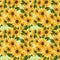 The pattern of blooming yellow flowers sunflower painted in watercolor