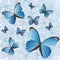 Pattern of blue butterflies