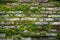 Pattern of  bricks with old green rustic moss grass