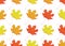 Pattern of bright maple leaves. Yellow and orange colors. Defoliation