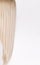 Pattern of a cold blonde hair over white background.