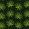 Pattern color set decorative of palm irregular green leaves