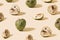 Pattern created from fresh exotic cherimoya slices on ivory background. Flat lay view