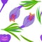 Pattern with Crocus and yellow circles Violet flowers with green leaves