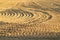 Pattern of curved ridges and furrows on a sandy field. traces on the sand