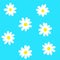 Pattern of cute daisies. Beautiful flowers on a blue background. Vector. Pattern for fabric and packaging design