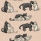 A pattern of cute and funny cats cuddling. A collection of cartoon character designs of a cat or kitten with a flat