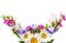 Pattern of daisies, phloxes, violets isolated on white background. There is free space for text