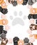 Pattern of different color cat paws icon collection. Cute cat foot set. Concept for greetings card design. Flat 
