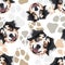 Pattern Dog Paws Australian Shepherd