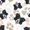 Pattern Dog Paws Border Collie