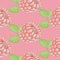 pattern of drawn pink raspberries
