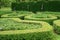 Pattern of English cottage garden style,Fukien tea cutted wall and sculptures in background