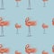 Pattern with a flamingo on a blue background