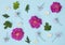 Pattern of flowers - wild roses, jasmine and delphinium,
