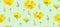 Pattern FRDFHTKMYST yellow FLOWERS on a LIGHT BACKGROUND