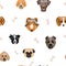 Pattern with funny different dogs and bones on a white background