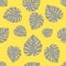 Pattern of gray monstera leaves on a yellow background