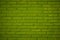 Pattern of Green brick wall background and textured, Grooved con