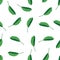 Pattern green foliage of tropical plants on white background. Pattern green leaves seamless background. Flora of exotic
