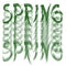 Pattern of green words `SPRING`. Rough brush inscription. Isolated element.