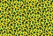 Pattern grern yellow leopard background. Illustration design