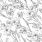 Pattern with hand drawn illustrations of Schizostylis