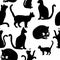 Pattern with the image of black cats for printing, background, pets
