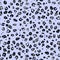 Pattern, imitation of leopard spots, blue background