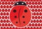 Pattern ladybug