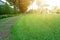 Pattern of Laterite steping stone on a green Lawn in the public park, Ficus and shurb on the left , Trees in background under