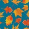 Pattern leaves autumn vector illustration watercolor maple