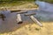 Pattern of Logs as Stepping stones in pond