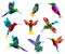 Pattern with Low poly colorful Hummingbird