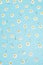 Pattern made of chamomiles, petals, leaves on pastel blue background. Spring, summer concept.