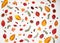 The pattern is made of yellow and red leaves, acorns, cones, red and black berries on a white background.