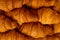 Pattern of many croissants. golden tasty freshly baked croissants top view close up