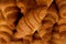 Pattern of many croissants. golden tasty freshly baked croissants top view close up