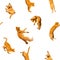 Pattern of many ginger flying jumping, dance funny cats isolated on a white background, set collage