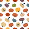 pattern with multicolored autumnal pumpkins. vector illustration