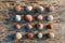 Pattern of multicolored pebbles on a gray old Board