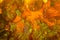 Pattern of orange glowing mineral stone in macro closeup, mining background
