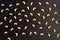 Pattern of A pile of pasta horns on black background