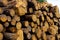 Pattern pile of pine logs wood end background sawmill closeup