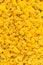 Pattern pile of yellow marigold flowers for background